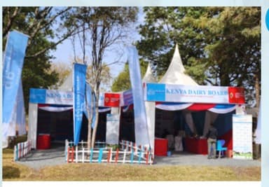 Kenya Dairy industry Bill recommends Guaranteed milk price for dairy farmers