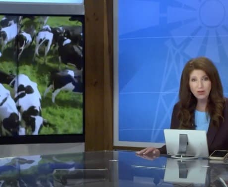 Milk production increased despite decreased dairy herds in USA?