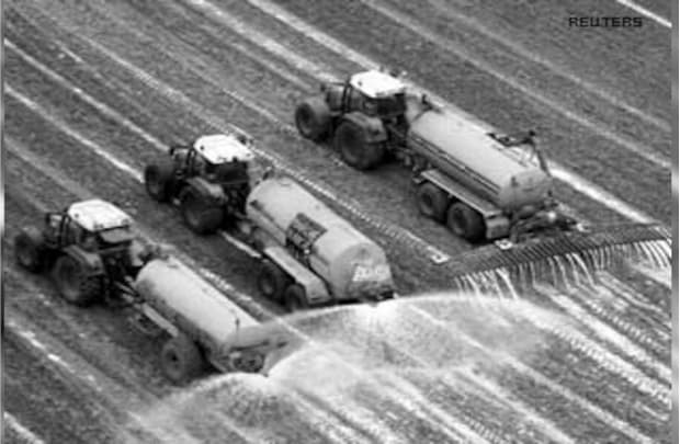 How surplus milk powder is dairy industry’s new problem