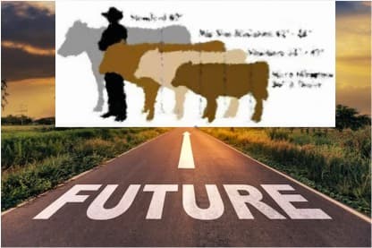 Future Milk Availability: 4 Critical Challenges Facing the Global and Indian Dairy Industry