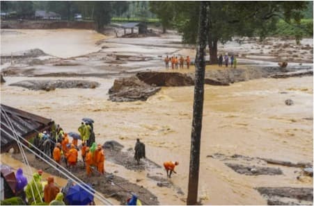 Dairy dept in Wayanad has revealed significant cattle losses