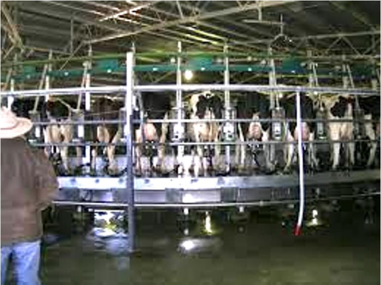 India’s milk will see significant evolution over 10 years: Akshali Shah