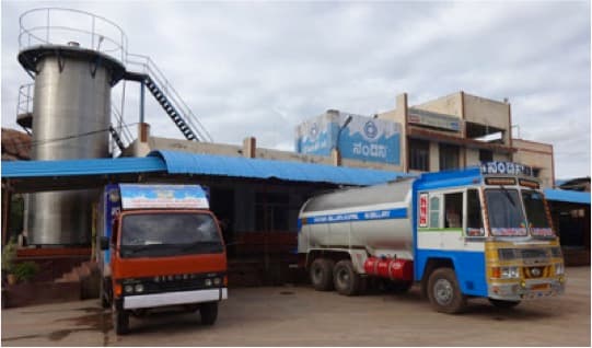 Milk Procurement Price Cut in Karnataka Amid Global Dairy Market Fluctuations