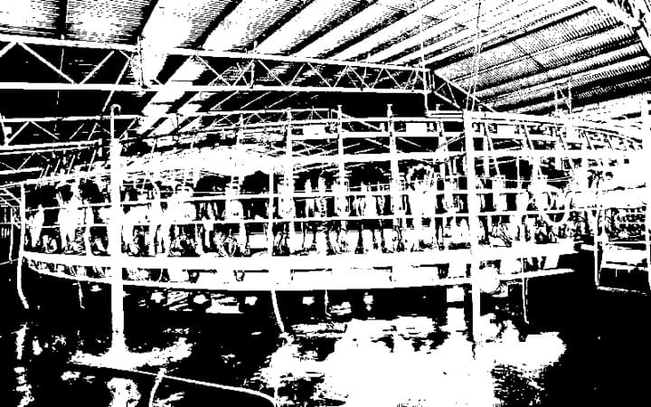 Challenges ahead for US, European milk output