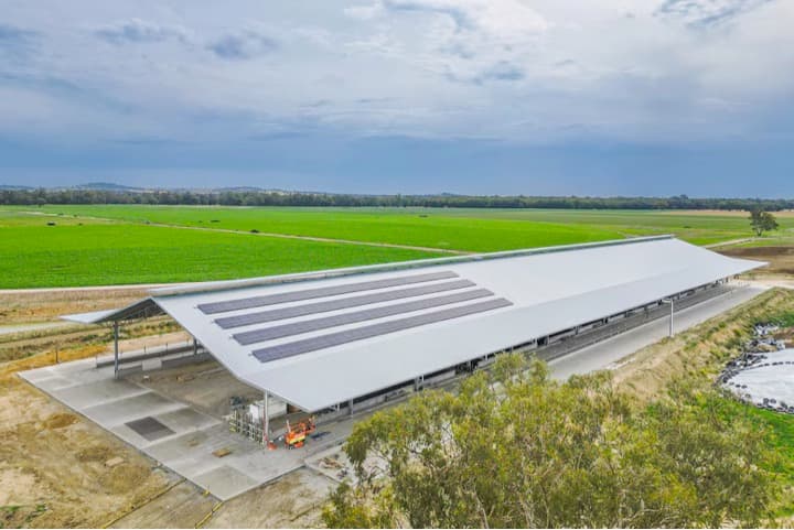 Australian Dairy farmers turning to housed systems