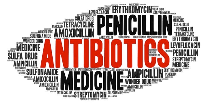 Measuring antibiotic usage on your dairy farm