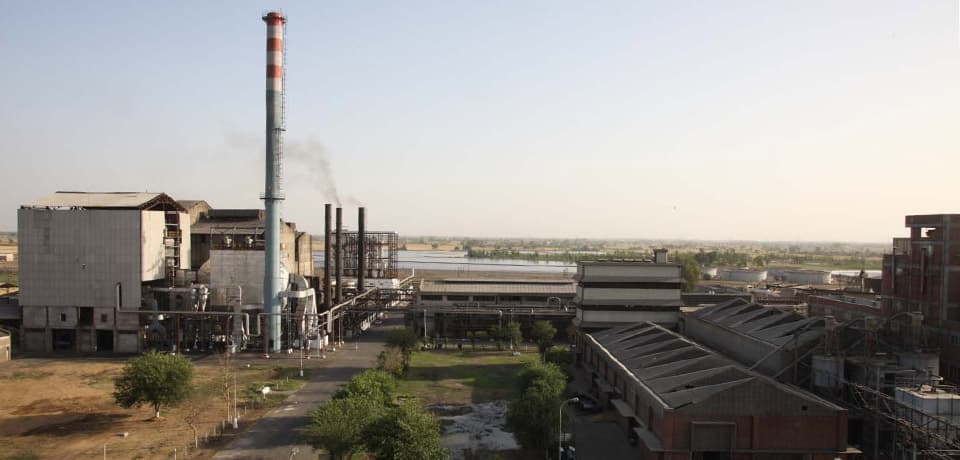 Milk Food to expand into ice cream, cheese