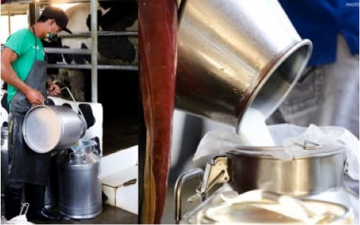 PH, France partner for dairy sector development