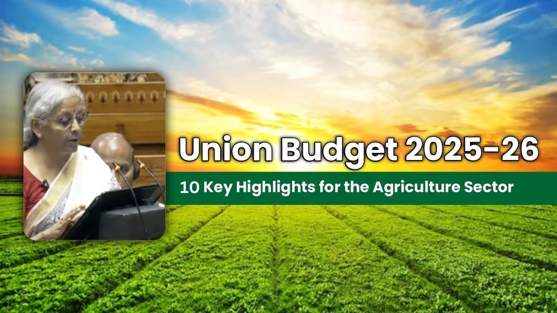 Agriculture is fiscally neglected in the Budget