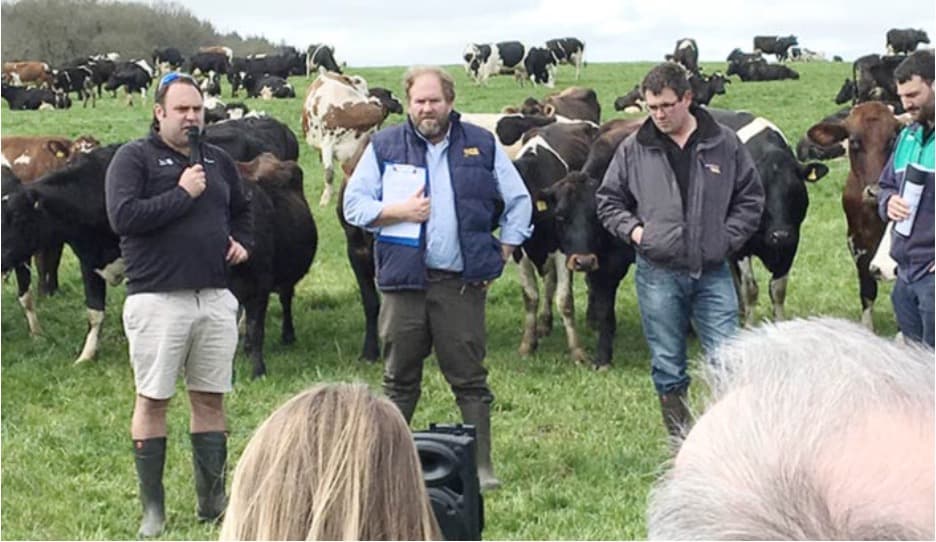 Dairy production set to rise in 2025 in UK