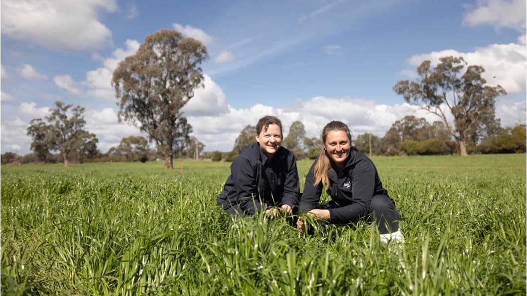 Translating research into practical gains- C4Milk Project