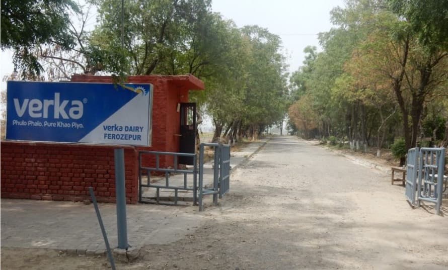 Verka Ferozepur announces Rs 15 per Kg fat Increase in milk price