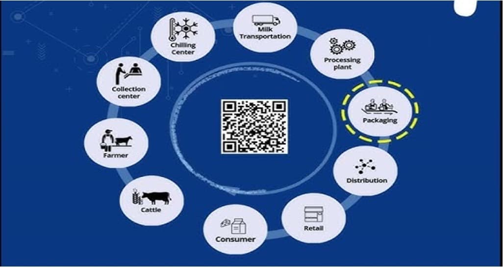 B2B Dairy Transforms into Strategic Brand Differentiator