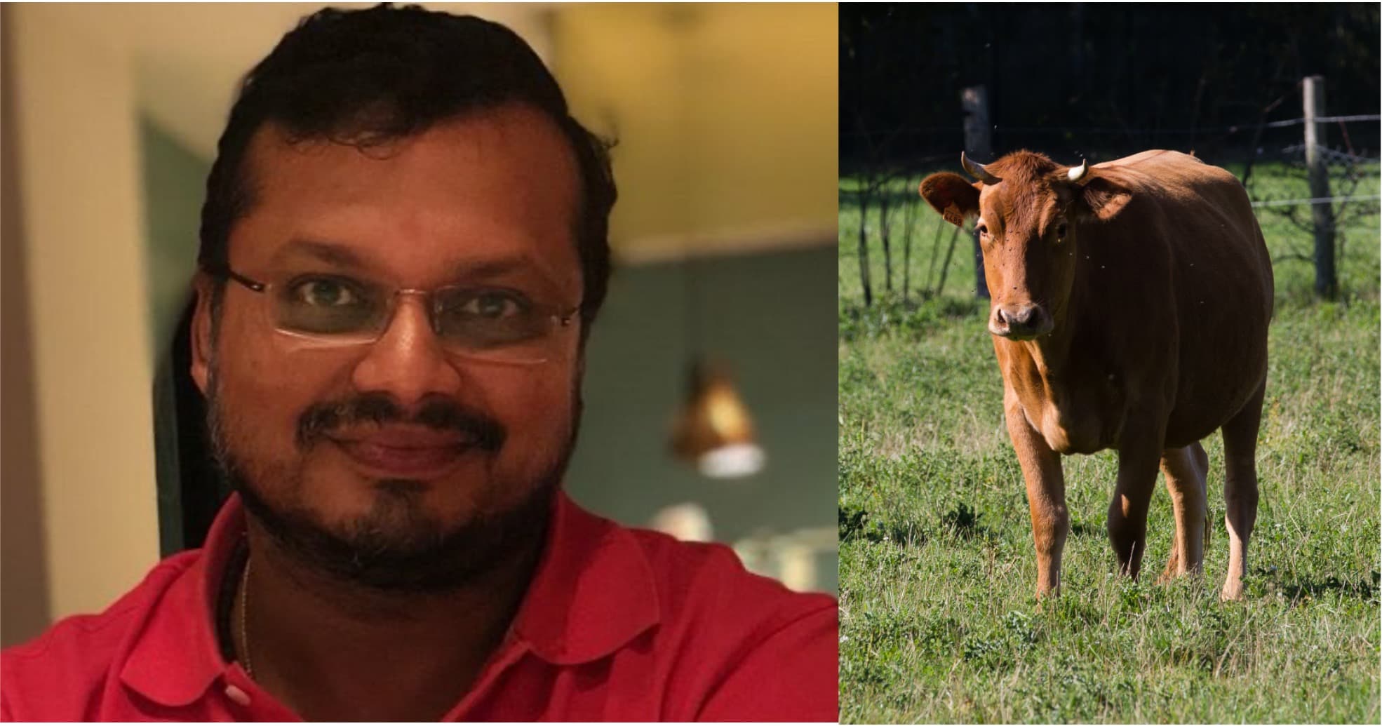 Business Prospects of Bovine IVF and Dairy Genetics in India