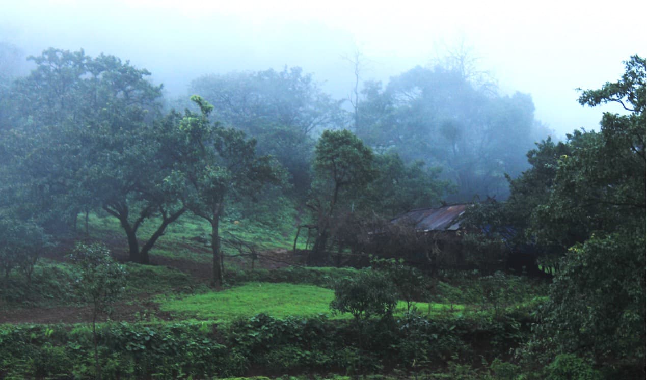 Above-Normal Monsoon Forecast for 2025 Brings Optimism for Dairy