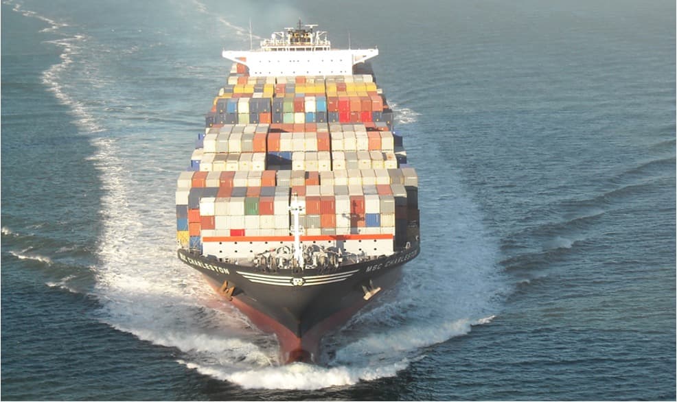 India’s Dairy Sector Faces U.S. Heat Over Non-Tariff Barriers