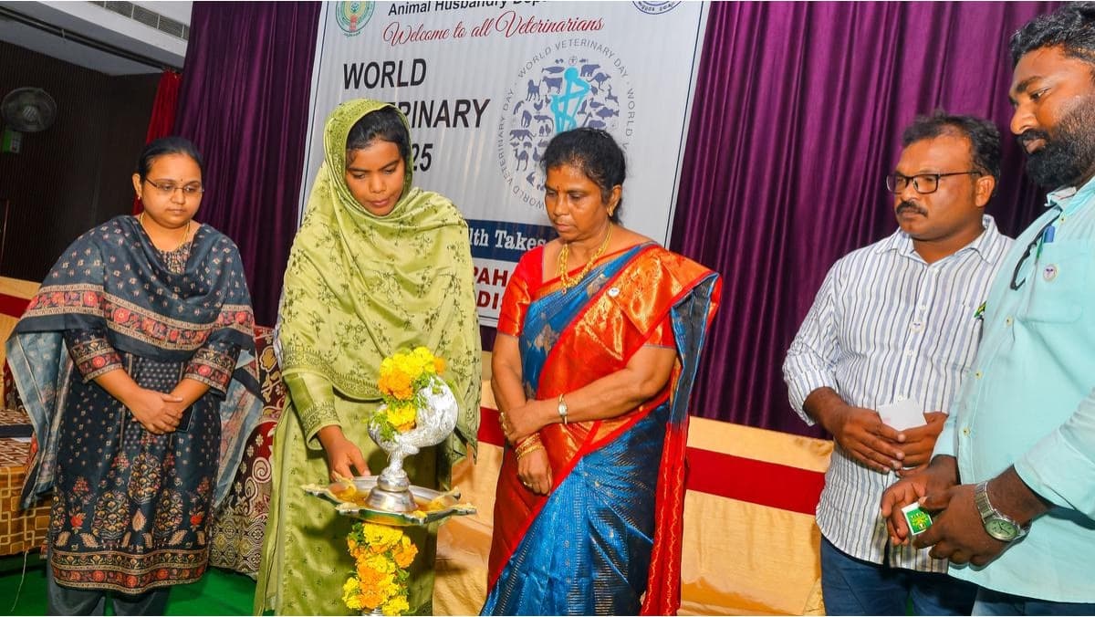 Prakasam ranks first in A.P. livestock sector, 5th in milk production