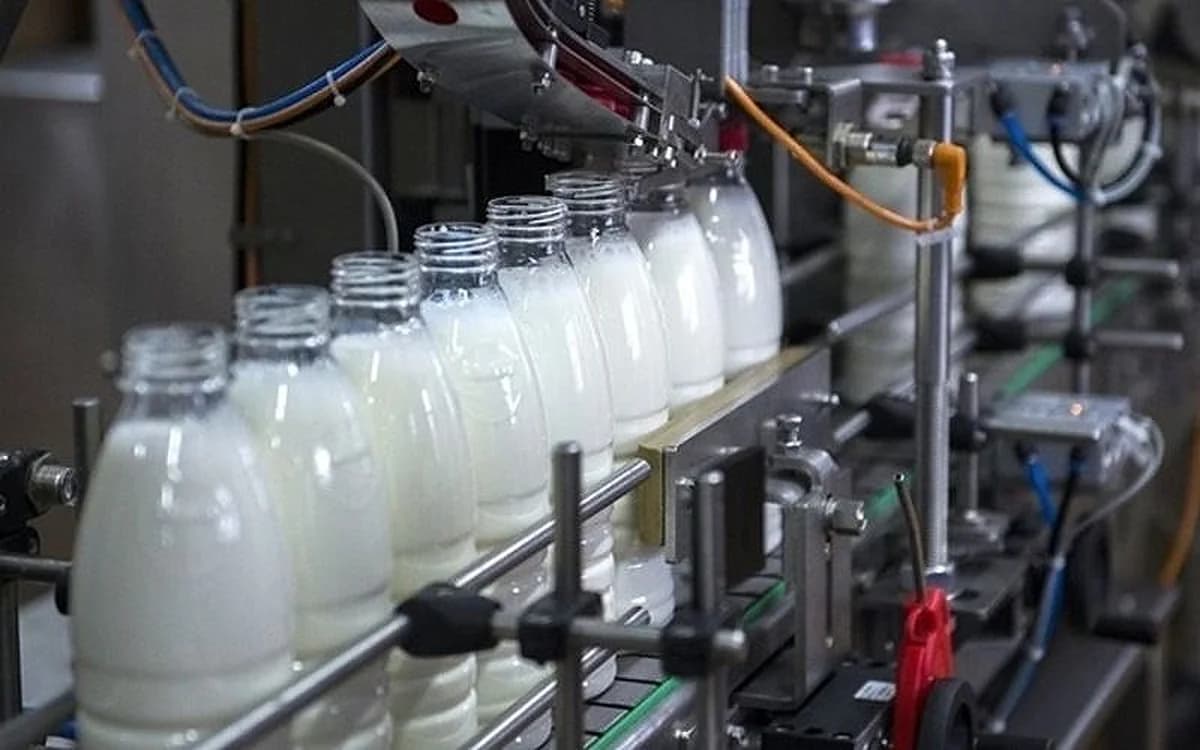 Kuwait's FMD Outbreak Cuts Milk Output, Prices Soar