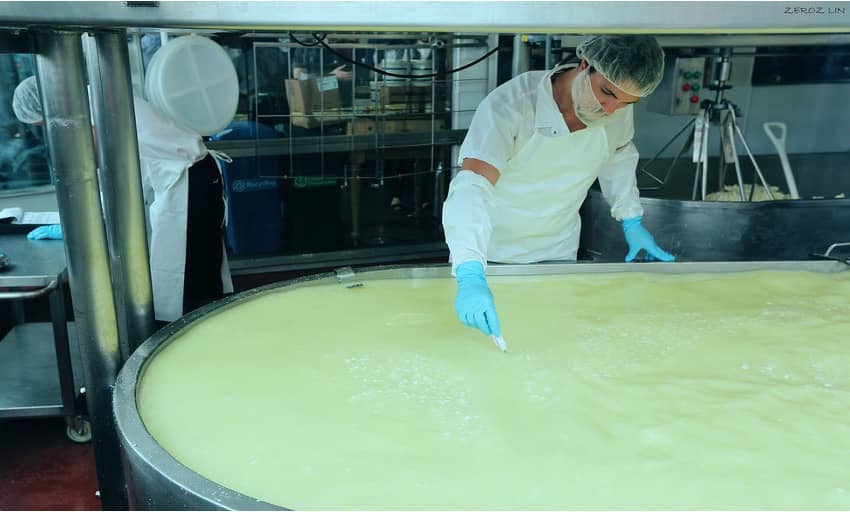 Australia Eyes Whey to Curb Dairy Waste