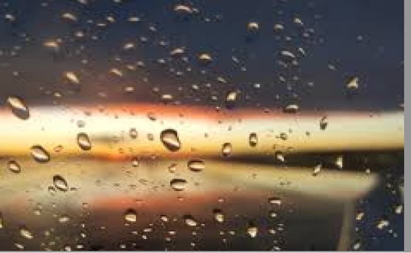 Cooler Summer Dampens Dairy Sales Growth