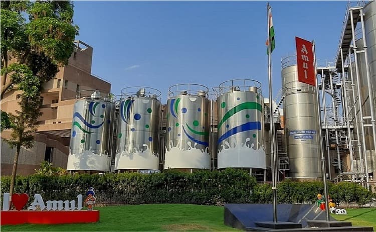 Amul Boosts Milk Price, Cuts Feed Cost to Aid Farmers