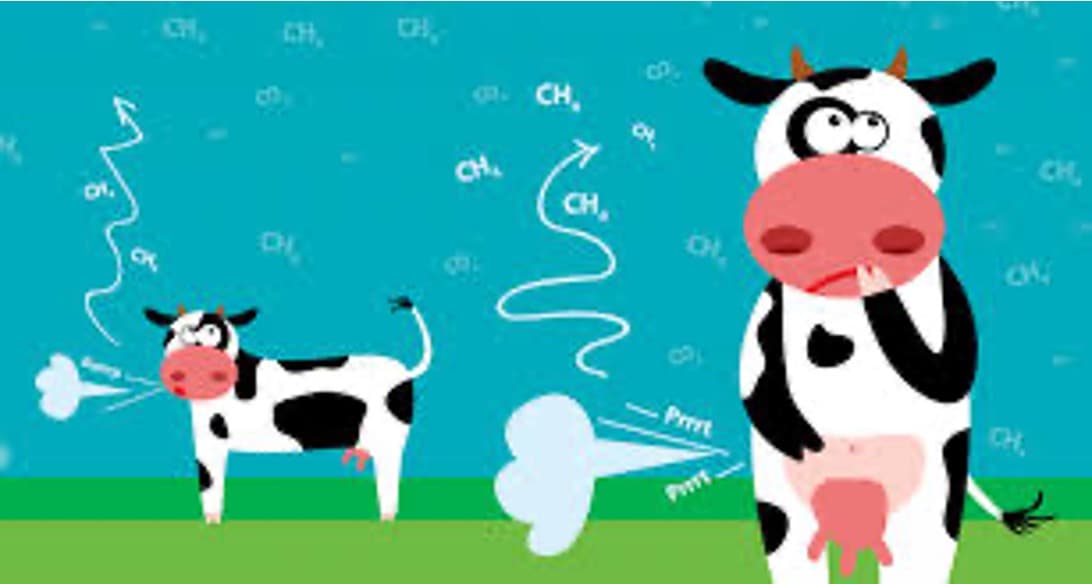 Danone Leads Dairy Sector in Methane Reduction Efforts