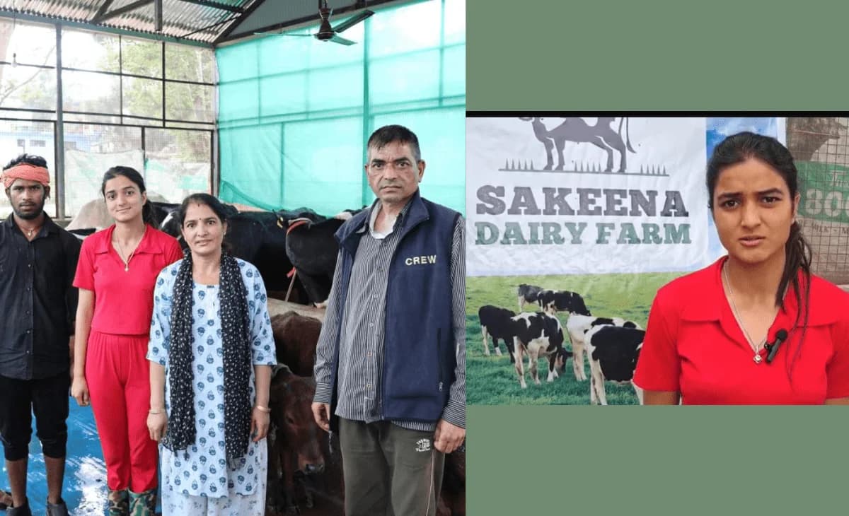 Himachal Woman Earns Lakhs from Dairy in Mandi