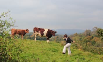 Irish farm milk prices rise faster than anywhere in EU