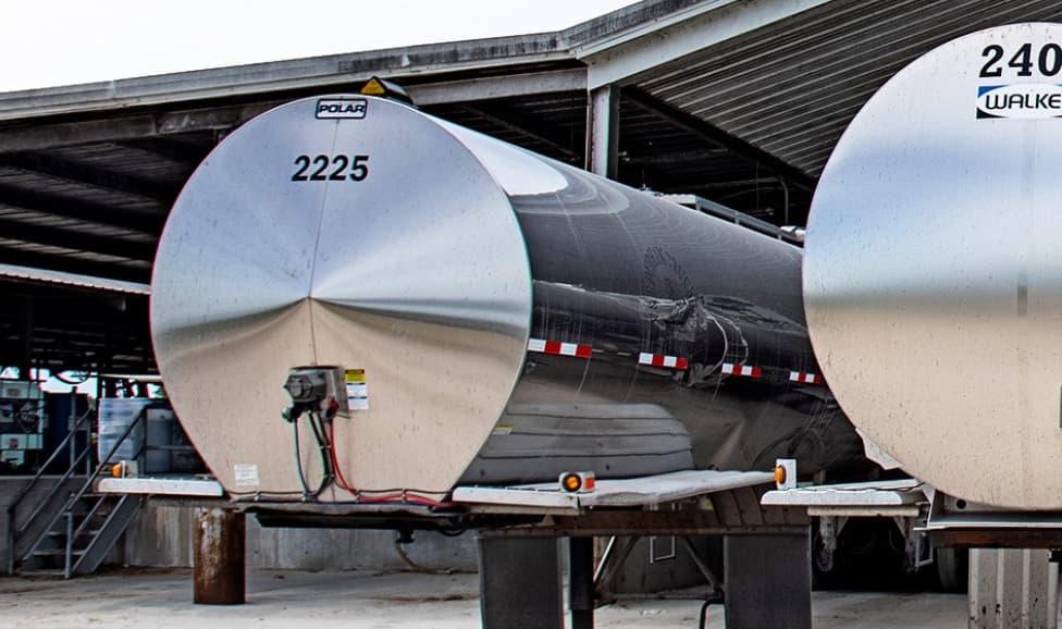 Global Dairy Sector Eyes Growth Amid Challenges