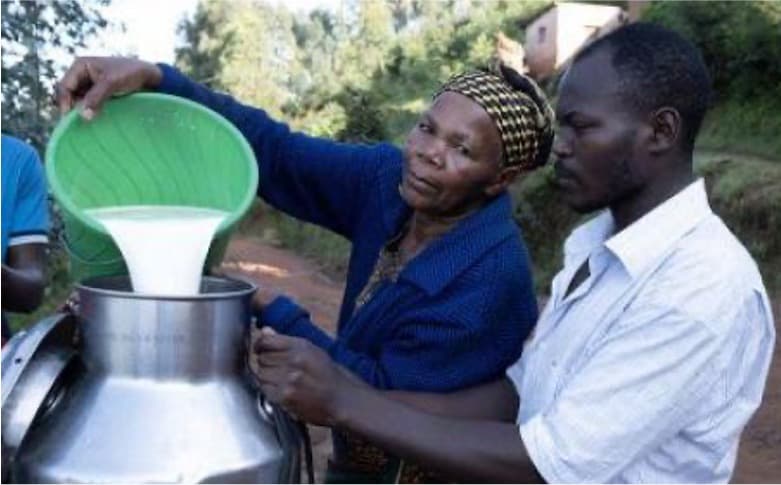 Nigeria to double milk output to 1.4 mln tons within 5 years