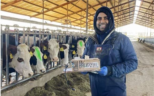 Research advances precision dairy care with AI-powered tools