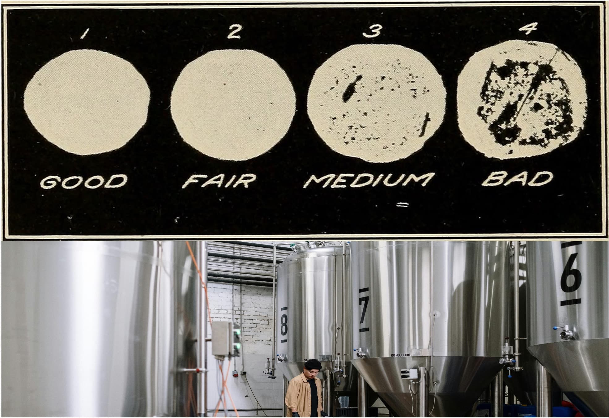 Synthetic Dairy Could Eliminate Bacterial Contamination Risks