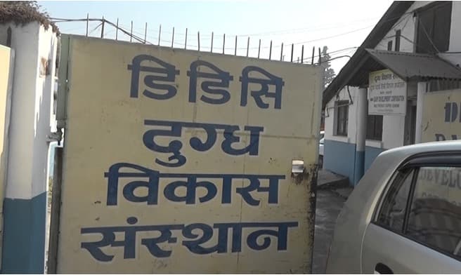 DDC Nepal struggles to sell 600 tons of dairy products