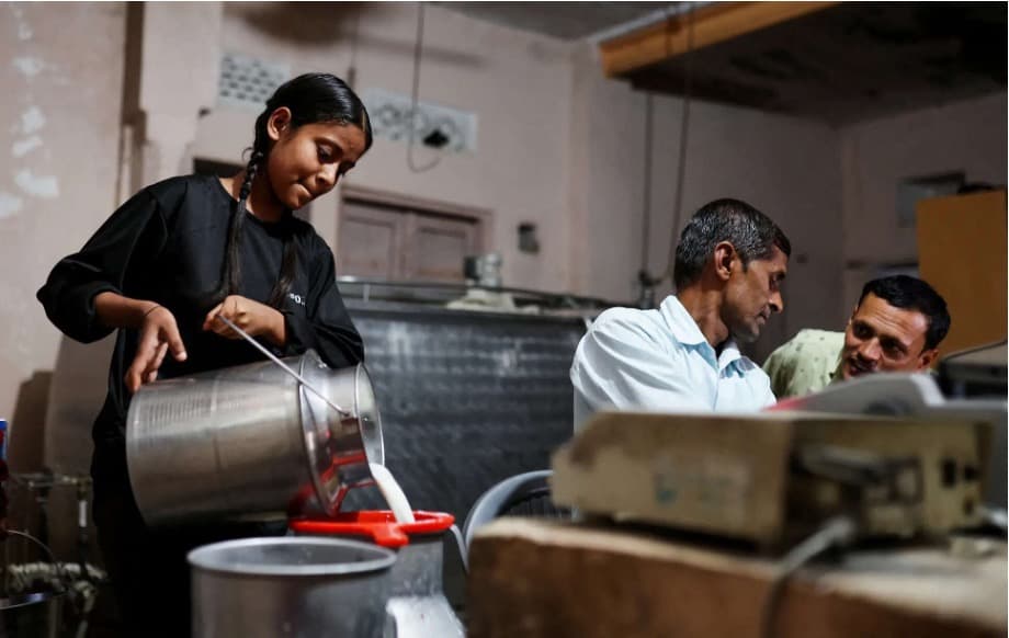 Tripura becomes the highest farmer's milk price giver in India