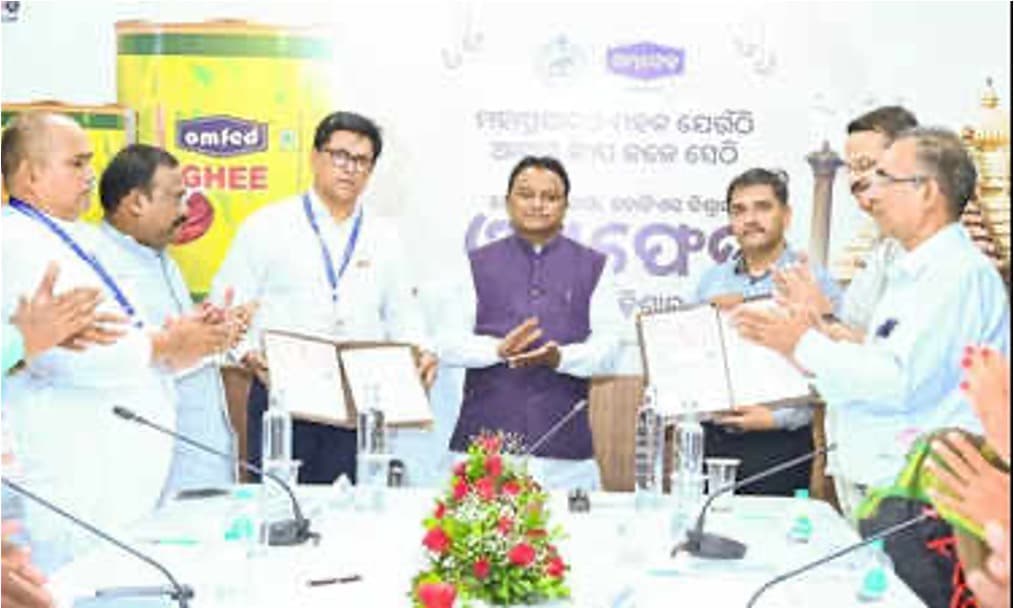 Odisha Govt to distribute 10k high-yielding cows to farmers