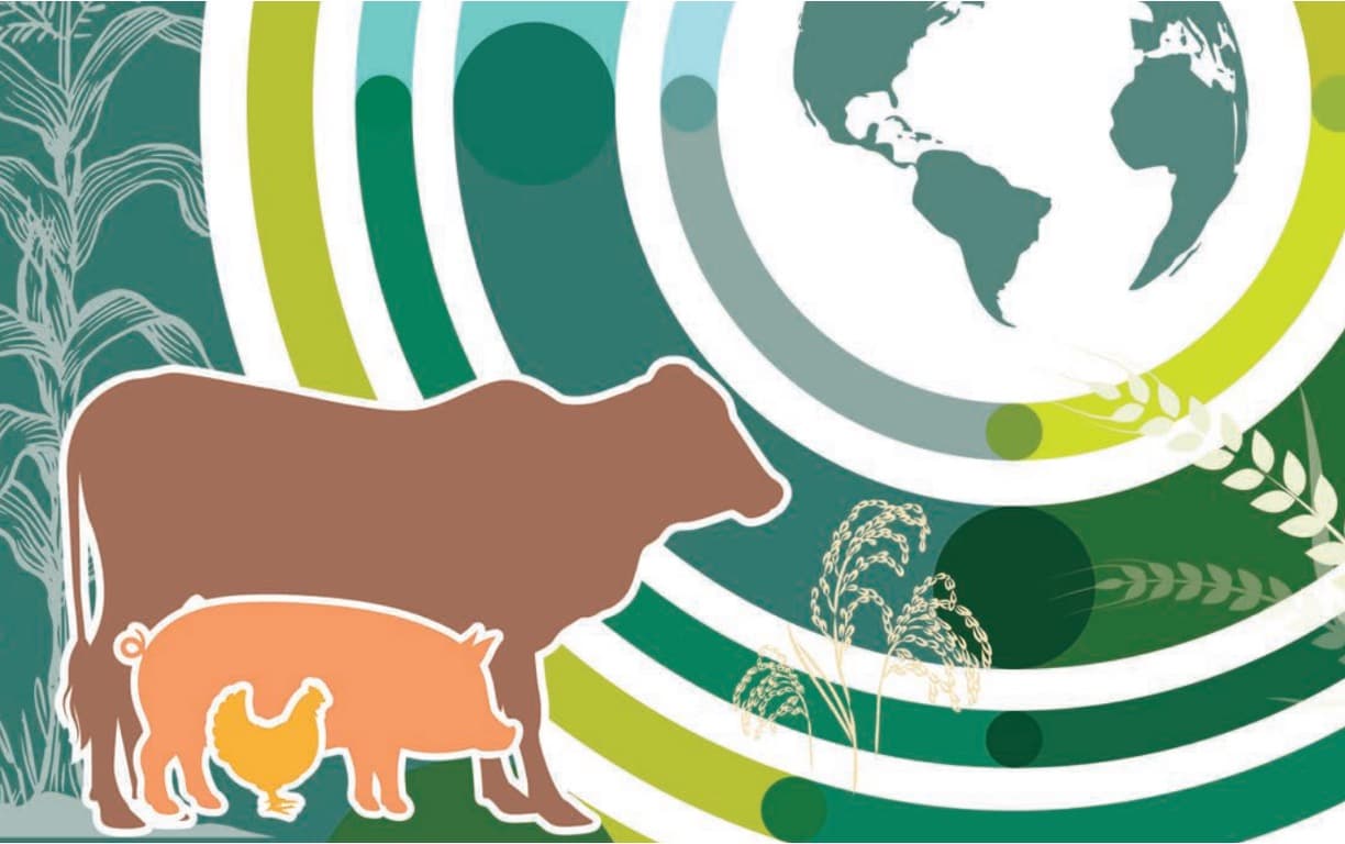 Global demand for dairy to rise but nutrition gaps remain