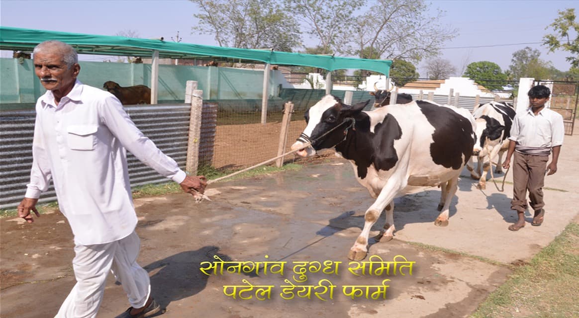 Indore Milk Union Raises Farmer Procurement Rates