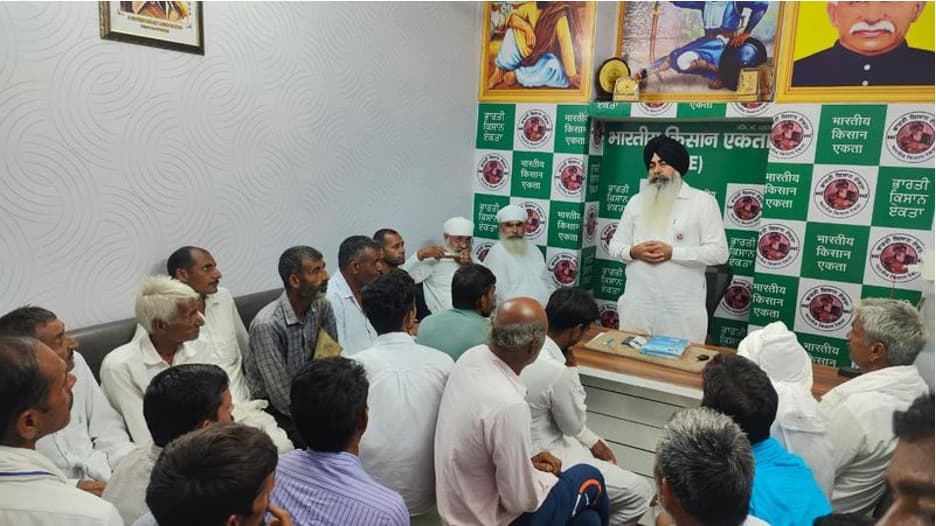 Sirsa Dairy Farmers Hit by Sudden Milk Buyer Exit