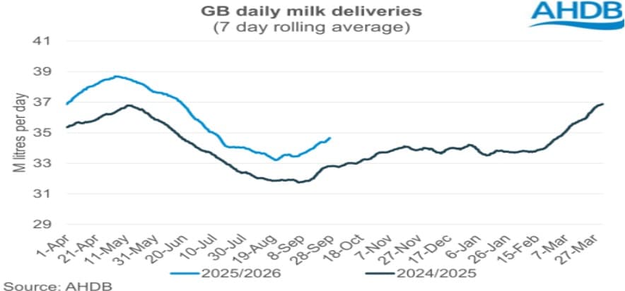 UK Milk Output Surges 5.5%, But Prices May Soften Ahead