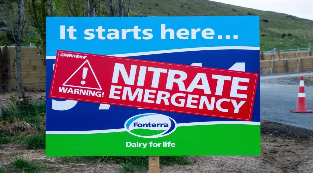Dairy farms surge in Canterbury amid nitrate crisis