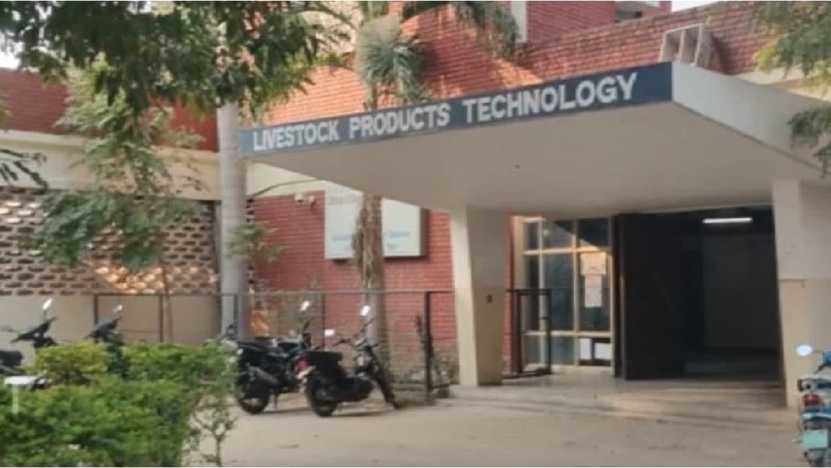 LUVAS Develops India’s First Nutrient-Rich Whey Health Drink