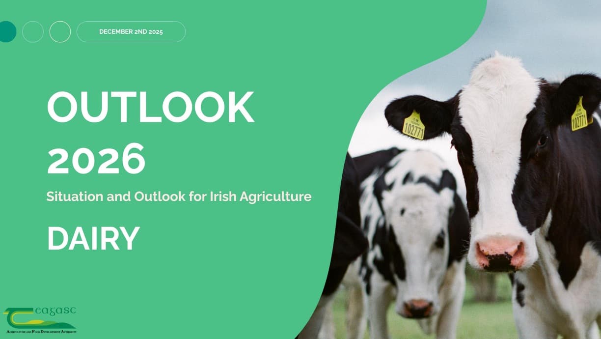 Challenging dairy year ahead-Teagasc Ireland