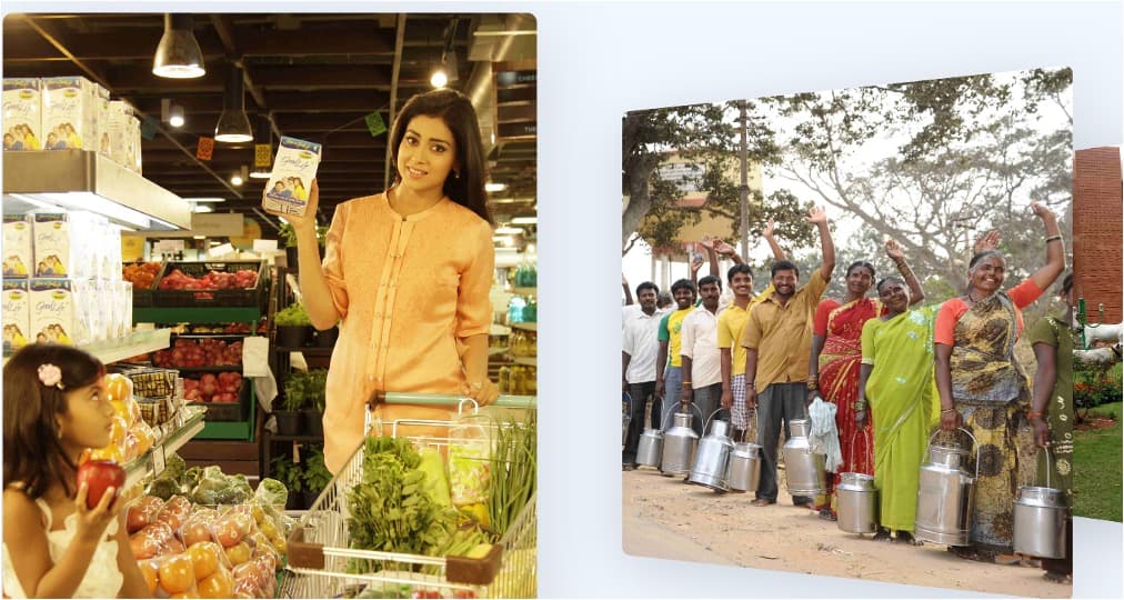 KMF now under RTI: Karnataka panel affirms transparency mandate