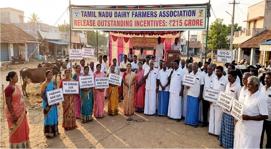 Pending ₹215-Crore Incentives Hit Tamil Nadu Dairy Producers