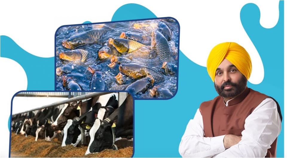 Punjab Slashes Cooperative Registration Fees to Boost Dairy