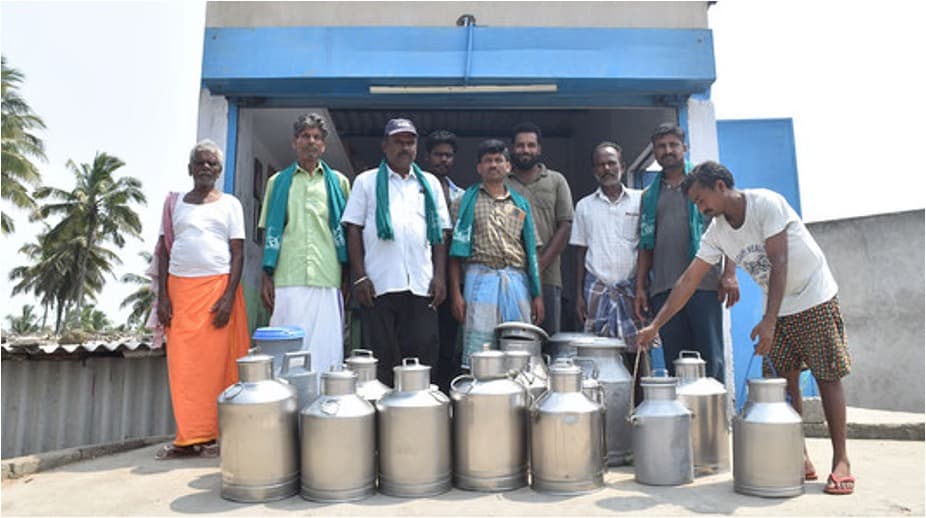 Aavin Producers Demand Rs 200 Crore Dues from Tamil Nadu Govt