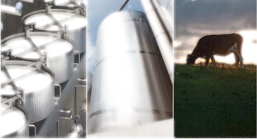 Global dairy prices under pressure Rabobank Q4 outlook