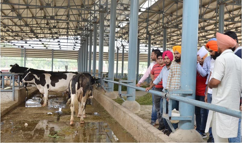 MSME Funds Vet Varsity to Boost Dairy Entrepreneurship in Punjab