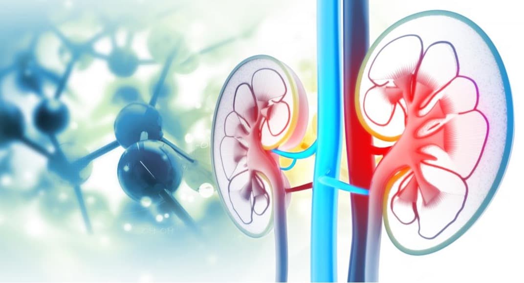 Rajahmundry Milk Crisis: 4 Dead, Dozens Hospitalised