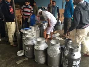 Assam Dairy & Cooperatives Go Digital